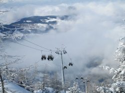 IMG_0594