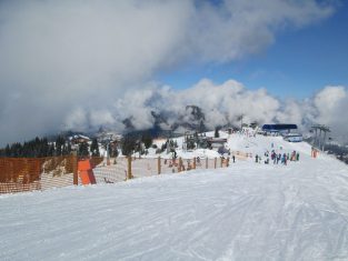IMG_0609