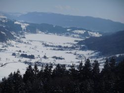 Blick auf den Alpsee.